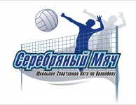 Соревнования по волейболу «Серебряный мяч» 