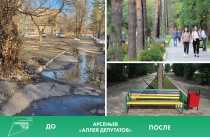 Комфортную среду в Приморье формируют сами жители