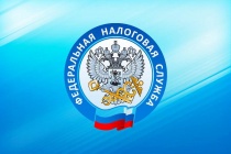 Страховые взносы ИП на ЕНВД: как платить и учитывать 