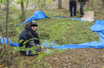 В Арсеньеве Приморского края полицейские задержали мужчину с крупной партией марихуаны