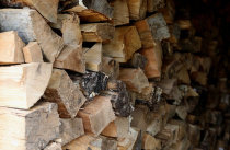 Организован сбор заявок на определение потребности в дровах и угле для участников специальной военной операции и членов их семей на 2026 год