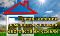 Многодетным семьям Арсеньева бесплатно предоставлено 444 земельных участка 