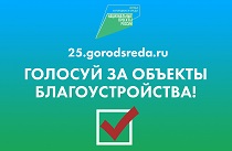 Стали известны промежуточные итоги голосования приморцев за общественные пространства для благоустройства