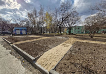 «Наш уютный двор» - так назвали свой проект жители дома № 14 по ул. Островского 