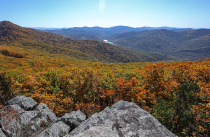 В конкурсе видео-эссе «Мой Дальний» юные приморцы могут рассказать об уникальности нашего края
