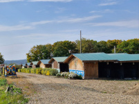 Состоялась очередная выездная проверка в приют для животных без владельцев