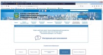 Арсеньевцы включились в голосование за инициативы участников конкурса «Твой проект»