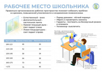 Советы Роспотребнадзора: как правильно организовать рабочее место школьника дома?