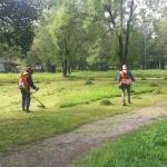 В сентябре силами МБУ «Специализированная служба Арсеньевского городского округа» продолжаются работы по благоустройству города 