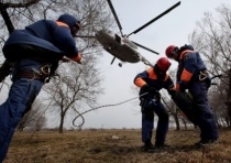 Сотрудники полиции напоминают о мерах безопасности при походах в лес