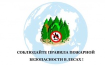 Сотрудники полиции предупреждают о необходимости соблюдения правил пожарной безопасности 