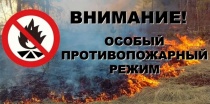 Полиция Арсеньева вышла на борьбу с огнем 