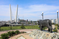 Владивосток лидирует в голосовании за «Культурную столицу России»