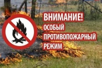 В Арсеньеве введен особый противопожарный режим 