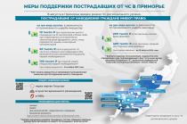Приморцы могут получить выплаты за вред здоровью, причиненный в ходе ЧС