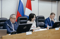 За прикорм бездомных собак в Приморье сначала предупредят, потом оштрафуют
