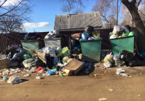 Административная комиссия: итоги работы за неделю 