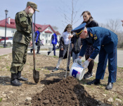 Арсеньев присоединился к Всероссийской патриотической акции «Сад памяти»